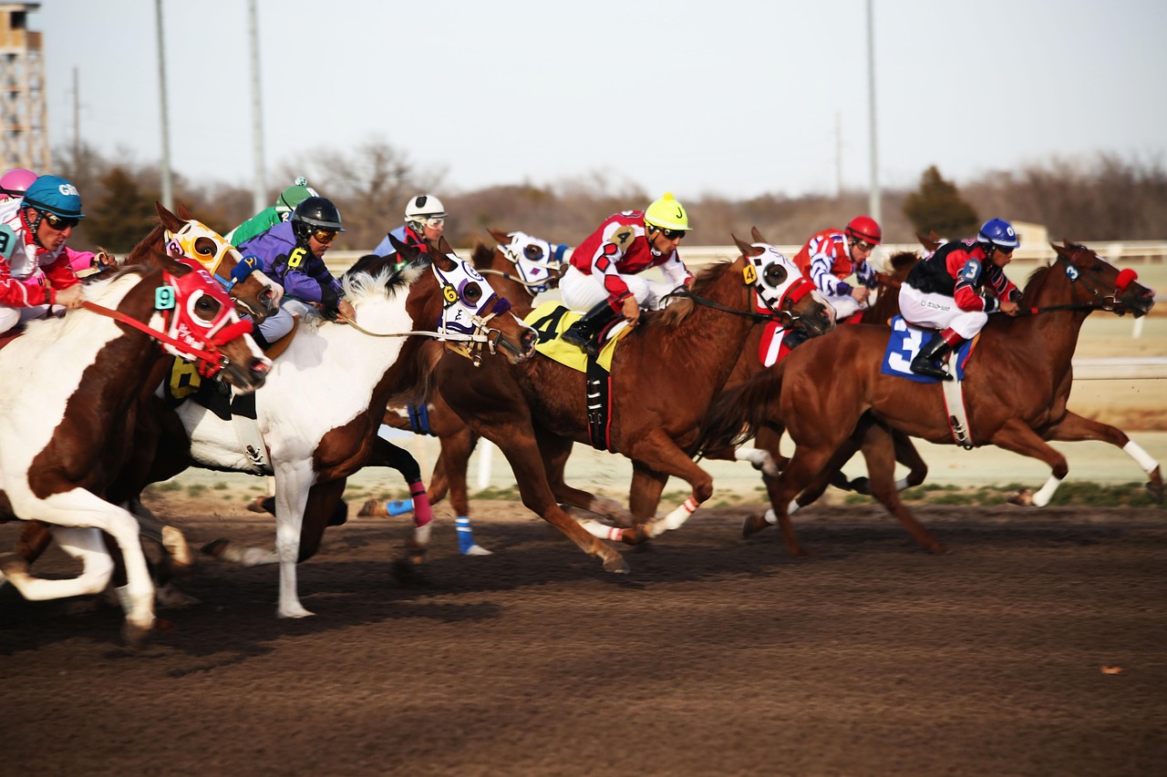 horses, horse racing, racetrack, horse race, jockey, race, racing, rider, horseback, thoroughbred, brown horse, horse racing, horse racing, horse racing, horse racing, horse racing, racetrack